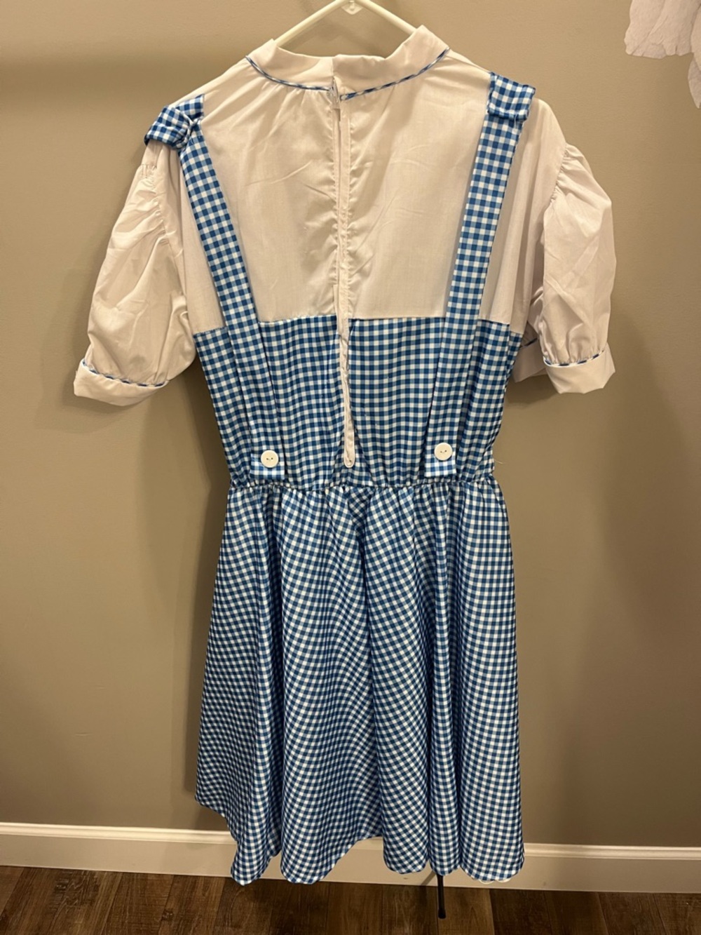 Women’s Dorothy from Wizard of Oz dress 💙🤍 - Picture 2 of 12